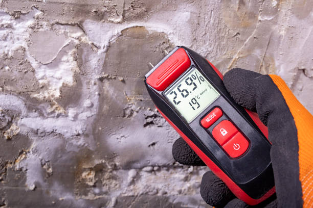 Best Mold Remediation for Specific Building Types in Westland, MI